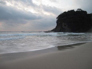 【下田市】　白浜海岸