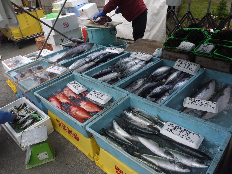 「勝浦朝市の魚」
